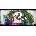 Guild Wars 2 Complete