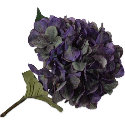 Hortenzie - Hydrangea fialová V65 cm
