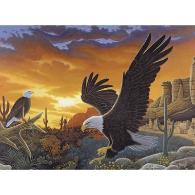 Royal Langnickel Malování podle čísel 30x40 cm - Orel