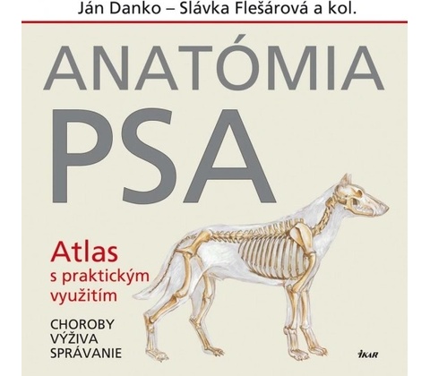 Anatómia psa