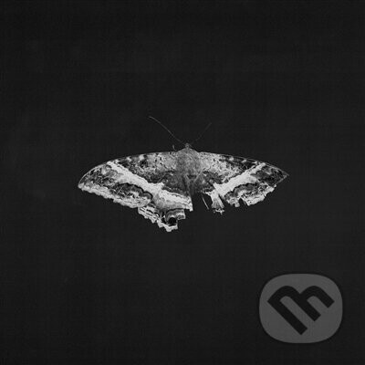 Lamar Kendrick To Pimp A Butterfly Anniversary Edition Vinyl