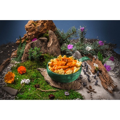 Adventure Menu KIDS Lightweight Kuře na paprice s těstovinami 250 g – Zboží Dáma