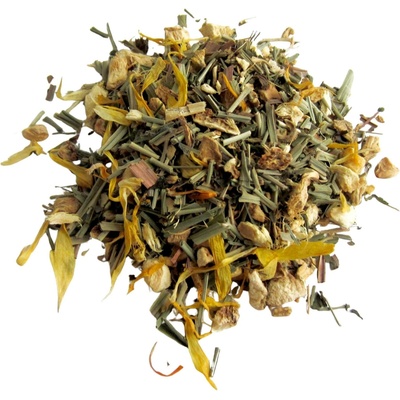 DEMMERS TEEHAUS Zázvor & citron bylinný čaj 100 g