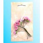 Galeria Hobby Paper flowers rose margerites 10pcs