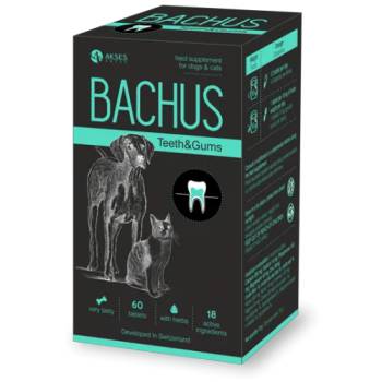 Akses Swiss, GmbH Bachus teeth & gums - ЗЪБИ & ВЕНЦИ, разгражда плака и намалява възпалението на венците, намалява образуването на плака - 60 таблетки, Швейцария - bachus-07