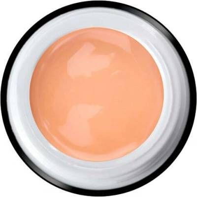 Laif One Stroke Uv Led gel Exclusive 106 vergine 6 ml