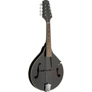Stagg M20