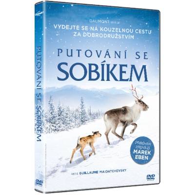 Multiland Айло: Одисея из Лапландия - dvd (037274)