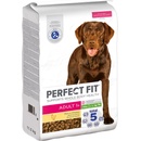 Perfect Fit Adult Dogs >10 kg 2 x 11,5 kg