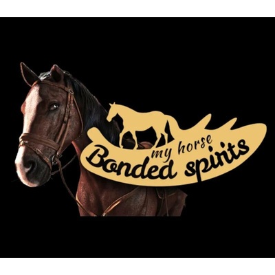 My Horse: Bonded Spirits