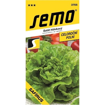 ŠALÁT HLÁVKOVÝ celoročný Safírus
