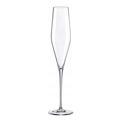 RONA Skleničky na šampaňské SWAN 6 x 190 ml