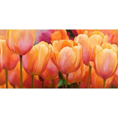 Obraz Letní tulipány 1 deska 100x50