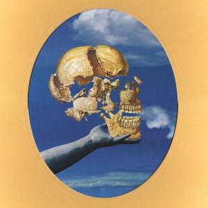 Sun Angle - Skull Flower (LP) (0614511837927)