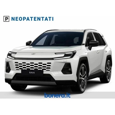 Toyota RAV 4 2.5 AWD-i Premium 227 kW
