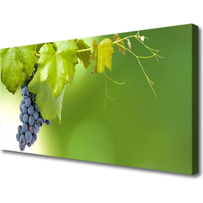 Obraz Canvas Hrozno listy kuchyňa 100x50 cm