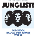 Various Artists - Junglist! Old Skool Ragga, D&B, Jungle 1993-95 (2 LP) (5026328005881)