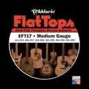 D'addario EFT17