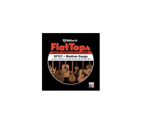 D'addario EFT17