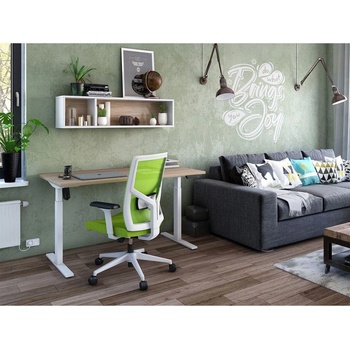 RFG Електрическо бюро RFG Light Pro, с регулируема височина, 120 (4015100580)