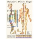 Meridiány a Dornova terapia 32x47cm