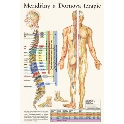 Meridiány a Dornova terapia 32x47cm