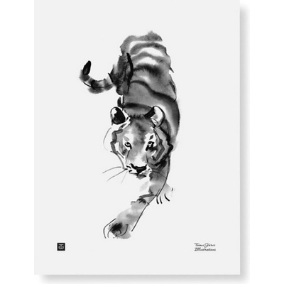 Plakát Sneaking Tiger 30x40 cm Teemu Järvi Illustrations