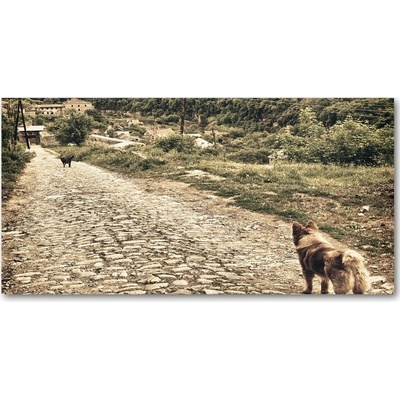 Fotoobraz na skle Dvaja psi na kopci 100x50 cm