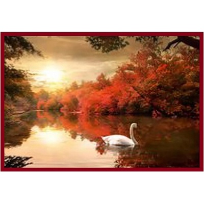 Bondecor Obraz Putframe Free 50 x 70 cm