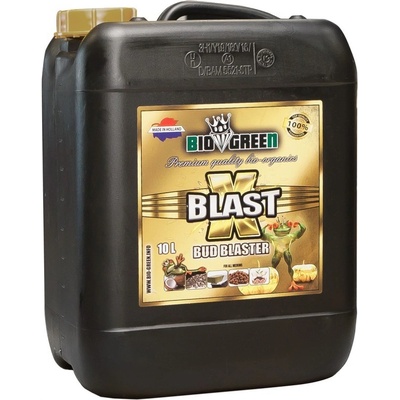 BioGreen X-Blast 1 l