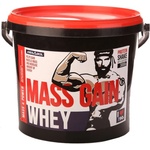 MEGABOL Whey Mass Gain, 3000 Grams