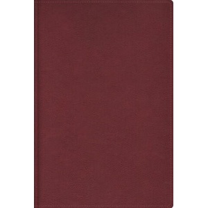 Rvr, Biblia de Estudio Trasfondo Cultural, Leathersoft, Rojo Vino, Interior a Color, Comfort Print | Vida, Craig S Keener, John H Walton (ISBN: 9780829772074)