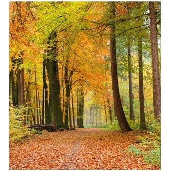 DIMEX ART s. r. o Флизелинов фототапет есенна гора 225 x 250 см