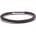 Nefertitis NF35888