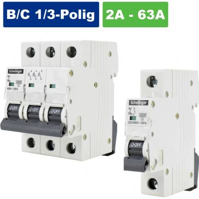 Schelinger C 10A BM-A02-G7-1P-C10
