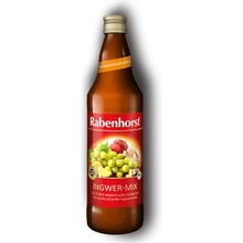 Rabenhorst Bio Zázvor Mix 0,75 l