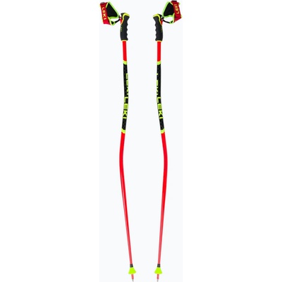 Leki WCR GS 3D 2024/25