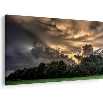 Obraz mračen a lesa, jednodílný 120x80 cm
