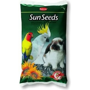 Padovan Sun seeds - слънчогледови семки за папагали и гризачи 500 гр