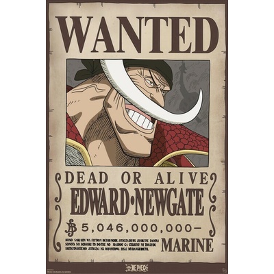 Plagát, Obraz - One Piece - Wanted Whitebeard, 61 × 91.5 cm