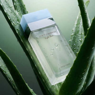 Dolce&Gabbana Light Blue Eau de Toilette за жени 100 ml опция Classic Velvet New Cover