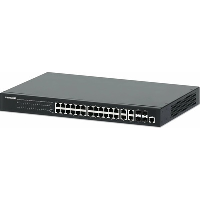 Intellinet 561426