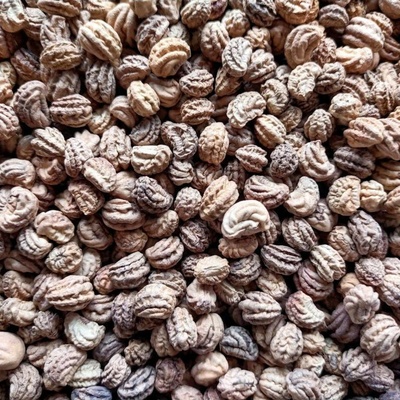 Microgreens Kapucínka nízka na mikrozeleninu 50 g
