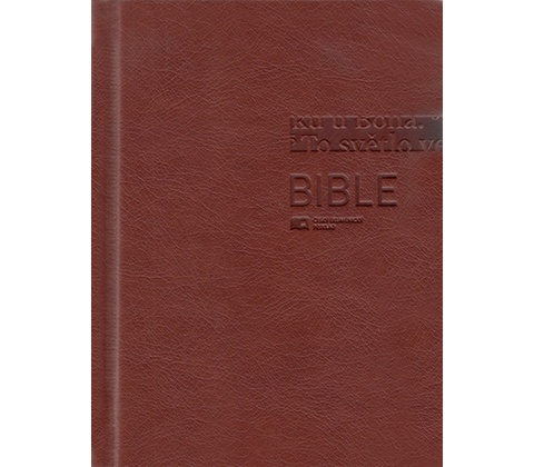 Bible 1293 hnědá