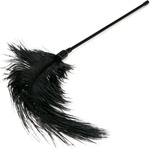 Easytoys Black Feather Tickler
