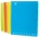 Pigna Monocromo PPL Fluo A4 100 листа тетрадка със спирала P1112-0316 (P1112-0316)