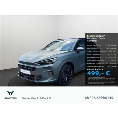 Cupra Terramar 2.0 TSI 4Drive DSG 195 kW