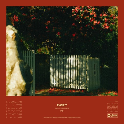 Casey - How To Disappear (Yellow Transparent Coloured) (LP) (5060626467538)