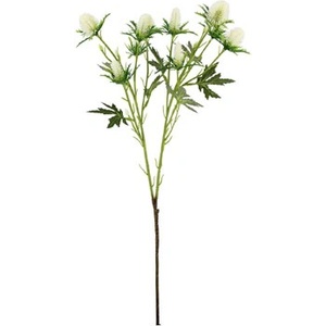 Bizzotto Клонка Eryngium Hazely бяла H68 cm (0173198)