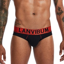 LANVIBUM METALLIC-BAY COMFORT bavlněné slipy s metalickým pasem